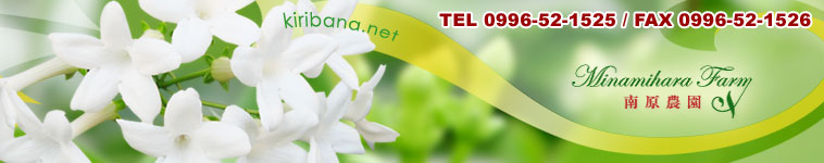 �谷���� �֥饤���롦�ե�����󥸤��ڲ�¾